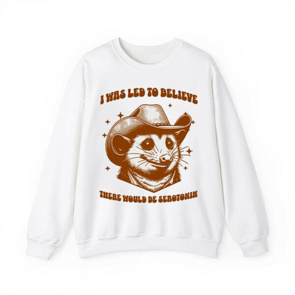 Raccoon Aesthetic I Was Led To Believe There Would Be Serotonin Shirt 3