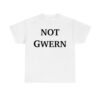 Chris Painter Not Gwern Shirt