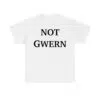 Chris Painter Not Gwern Shirt