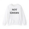 Chris Painter Not Gwern Shirt 4