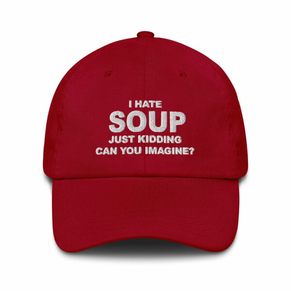 I Hate Soup Just Kidding Can You Imagine Hat 3