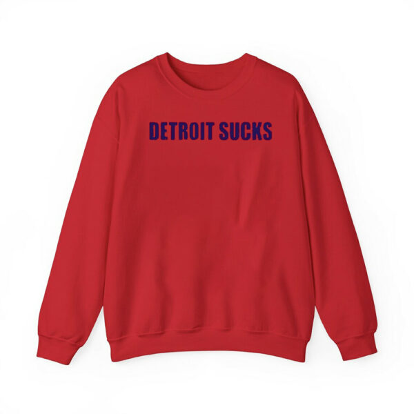 Texans Detroit Sucks Shirt 4