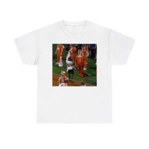 Tigers Loss To Cardinals Shirt