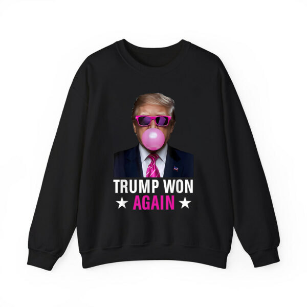 Trump Won Again 2024 Election Vote President 47th American Shirt 4